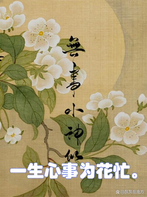 王者别人送的花不领会怎样