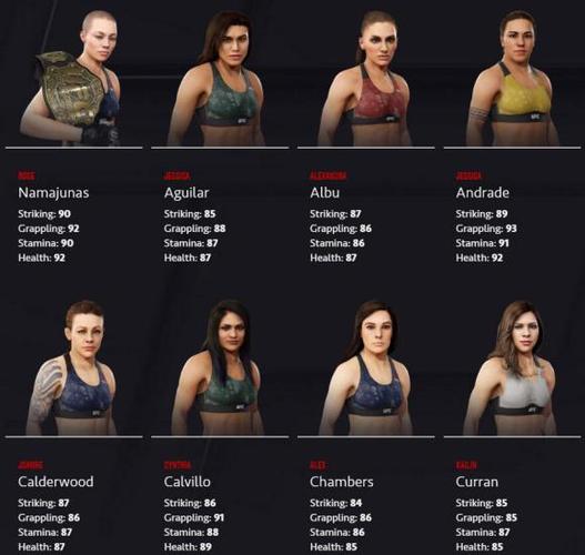 ufc终极格斗冠军2游戏介绍