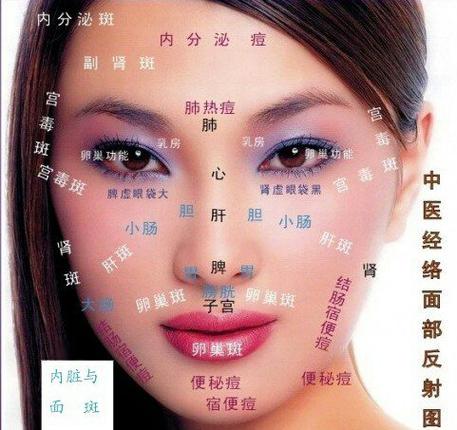 脸干净是哪个器官好