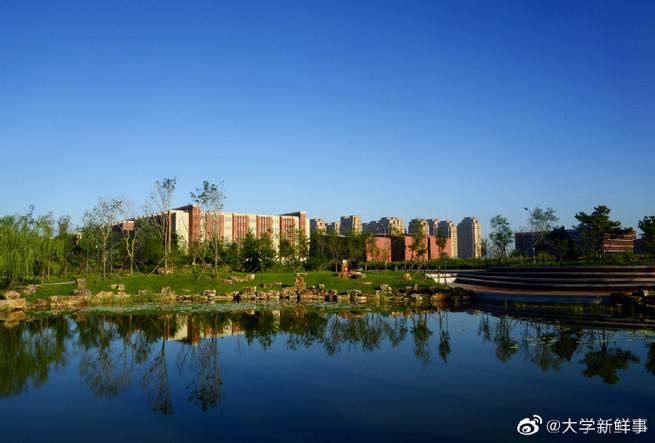 东北大学官网入口