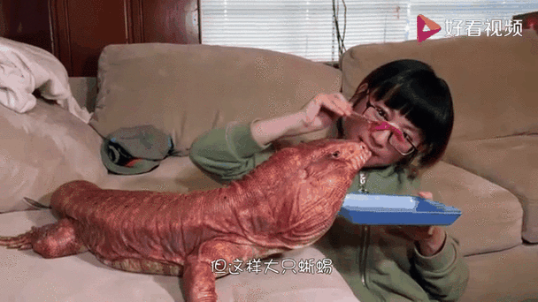 壁虎人视频