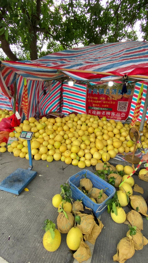 卖柚子怎么销售最好呢