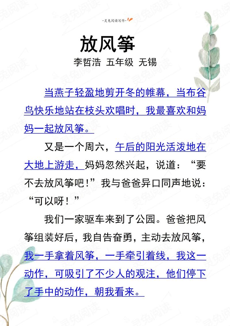 风筝评价为什么这么高截图