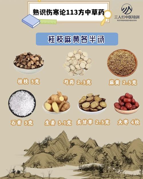 桂枝二越婢汤原文