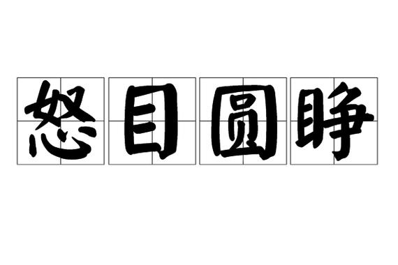 四字成语什么圆睁