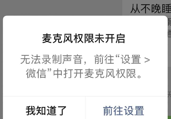 ipad玩游戏麦克风说不了话