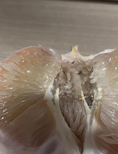 柚子皮黑点里面完好缩略图