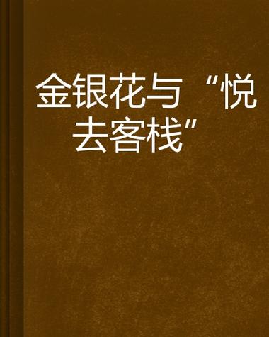 金银花乐可小说