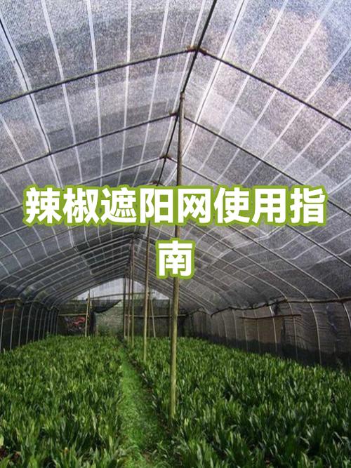 遮阳网正确使用方法