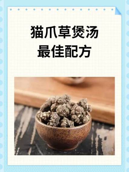 猫爪草煮水喝的正确方法