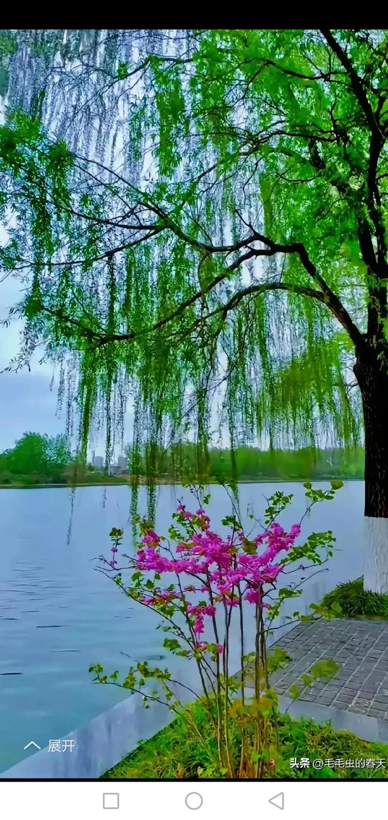 的春天