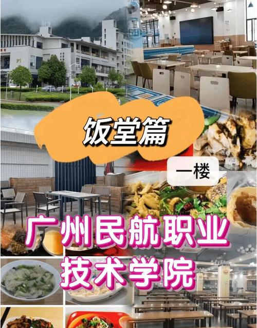 5ystudy登录入口官网广州民航职业技术