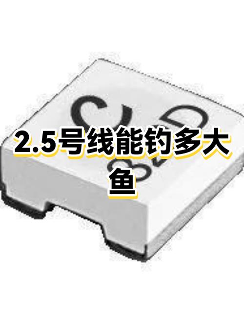 2.0鱼线能钓多大鱼缩略图