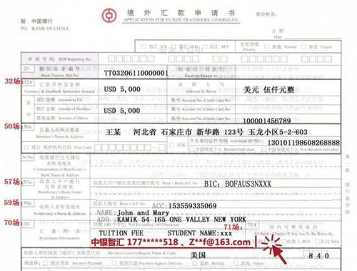 中国银行能汇款外国银行吗