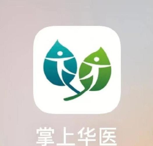 为什么要下载掌上华医