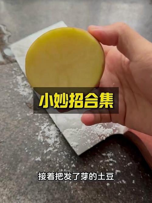 大米如何保存不生虫子,不霉变