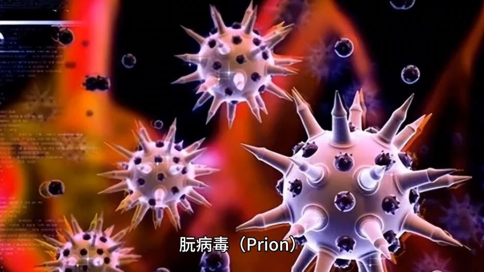 犇牛病毒是什么的病毒