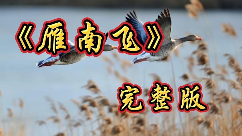 雁南飞原唱歌曲