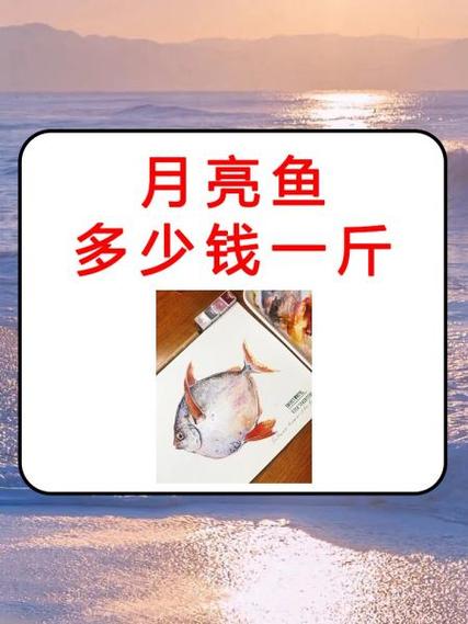 鱼一般赚多少一斤
