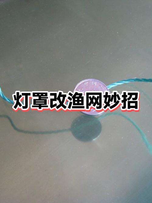 灯罩网捕鱼