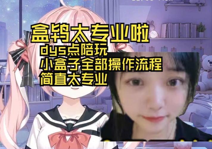小盒子陪玩