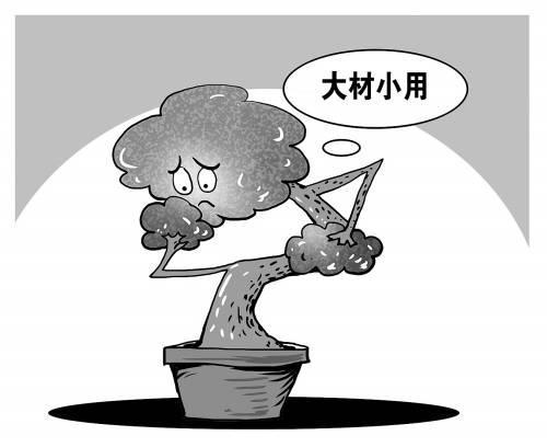 大材小用打一数