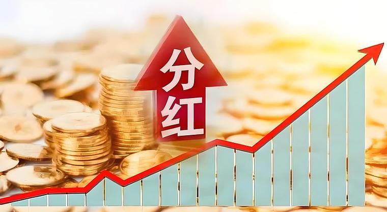 a股十大分红王