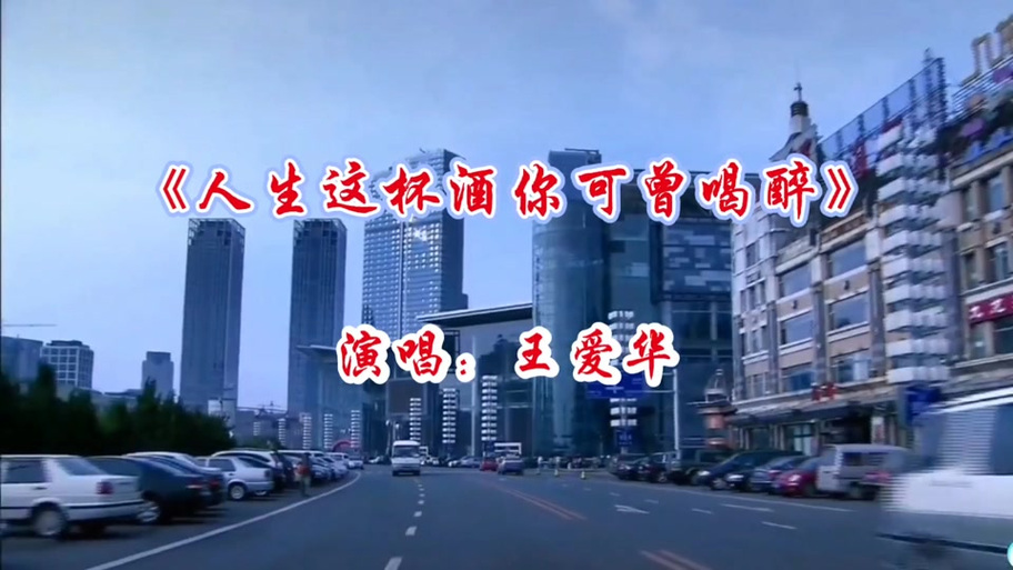 人生这杯酒男声演唱