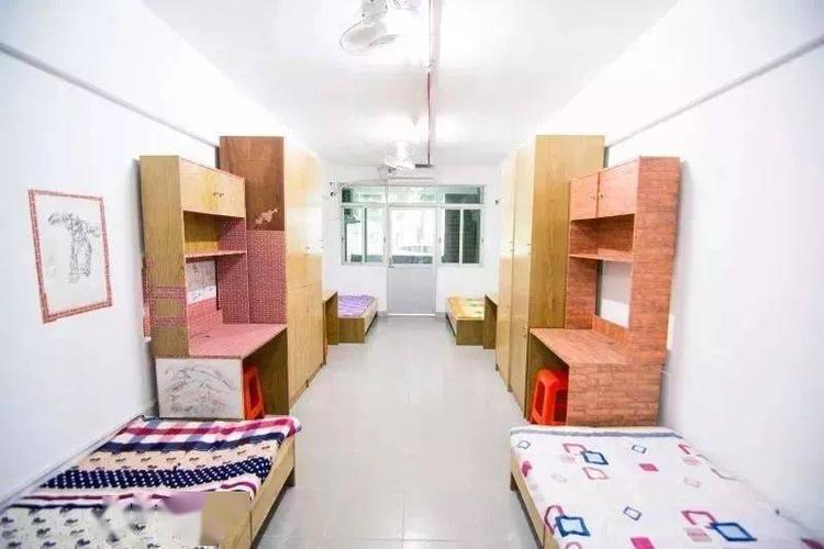 学生证在支付宝哪里看缩略图