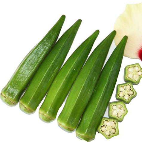 秋葵有几种品种图片