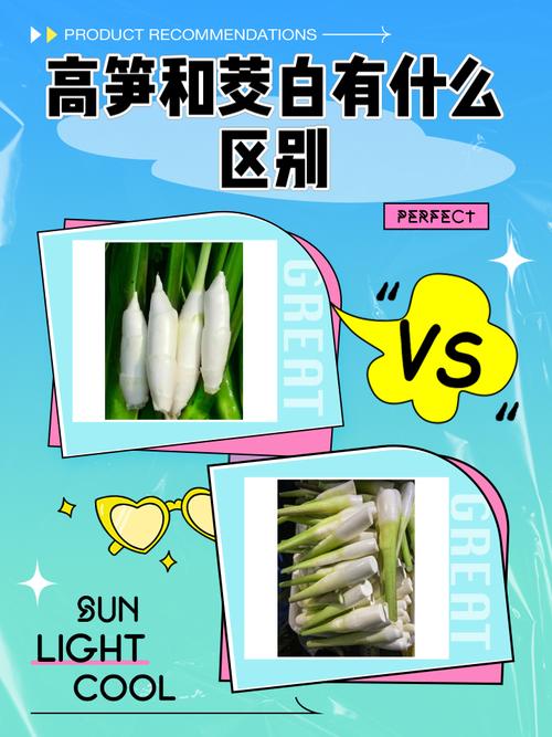 cpu与gpu的区别