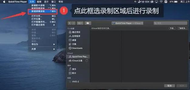 QuickTimePlayer