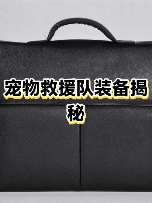 天天爱消除中的宠物子弹太弱怎么办