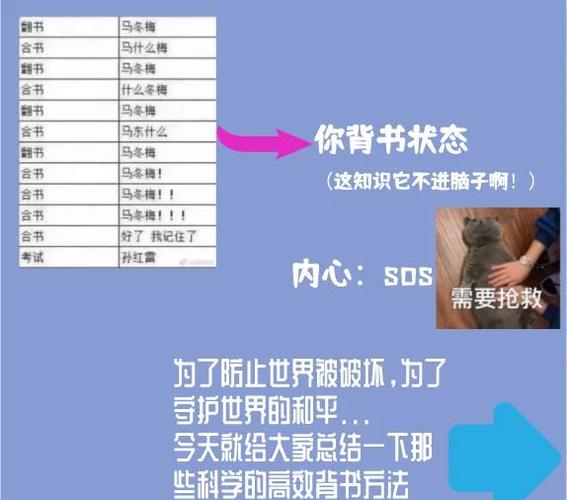 背书有什么用