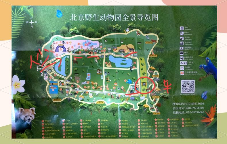 疯狂动物园2025破解版下载推荐教程