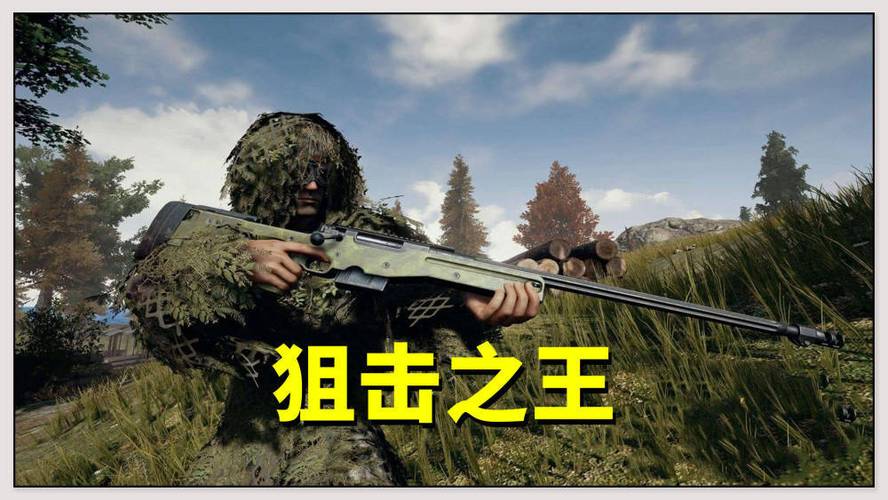 和平精英狙击手