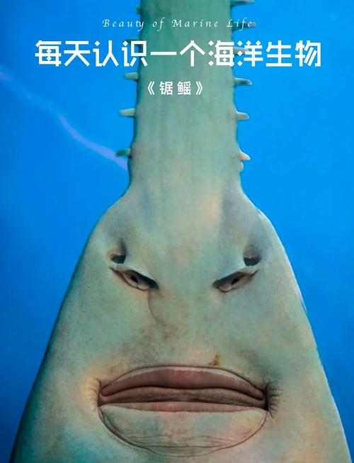 杭州奥海科技有限公司追踪软件