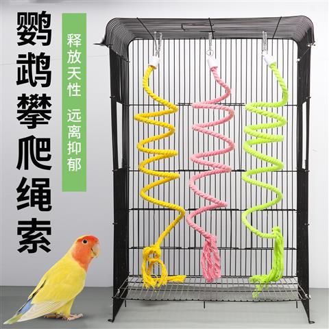 虎皮鹦鹉玩具游戏截图