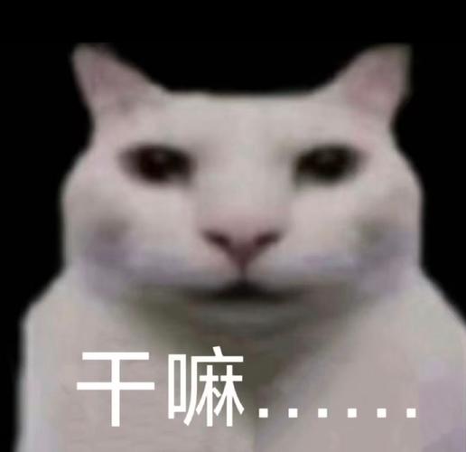 乐讯app是干嘛的缩略图