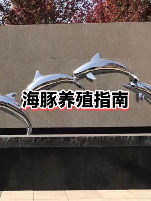 如何正确地喂养海豚