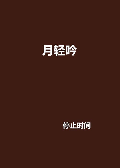 停止时间小说