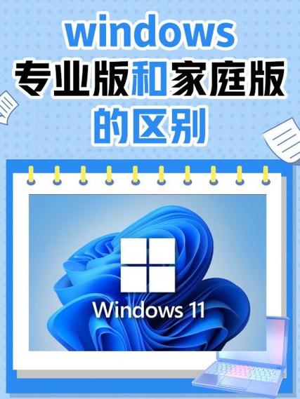 个人电脑装家庭版还是专业版