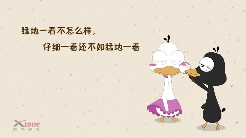 嘟嘟桌面普通版和pro缩略图