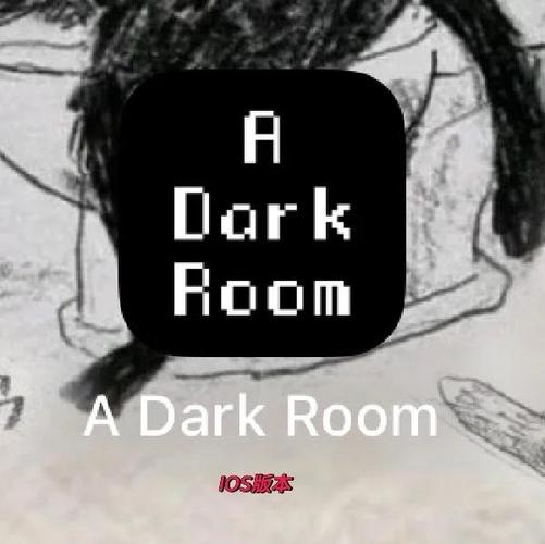 a dark room汉化版缩略图