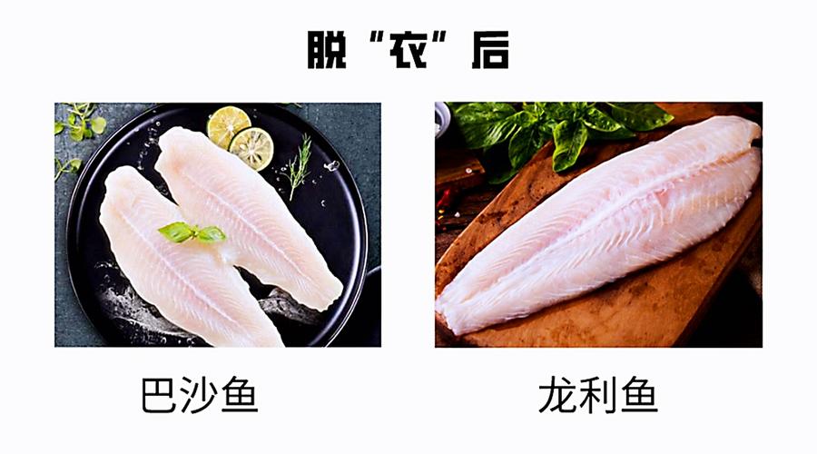 龙利鱼柳和巴沙鱼柳的区别
