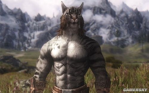 上古卷轴5虎人npc