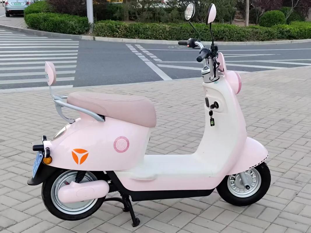 两轮小电动车价格及图片缩略图