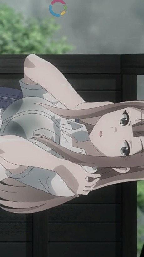 次元木最新版