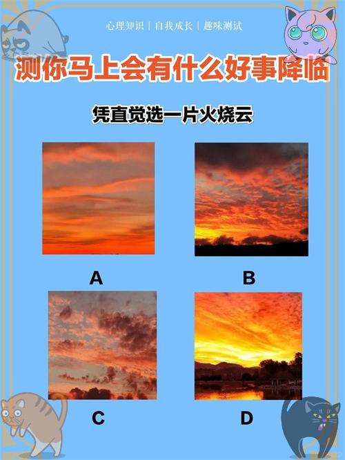 arealme趣味测试