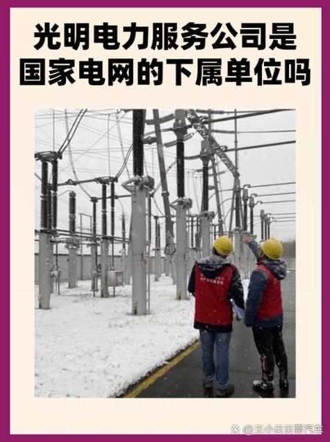 国网电力被别人绑定了怎么办